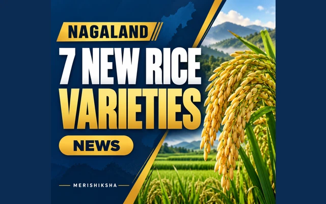 ICAR Nagaland Showcases Seven Rice Varieties: Duration and Yield Potential Explained